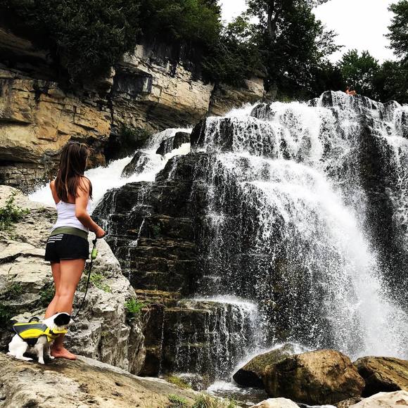 Meet your Posher, Danielle - Picture 2 of 4